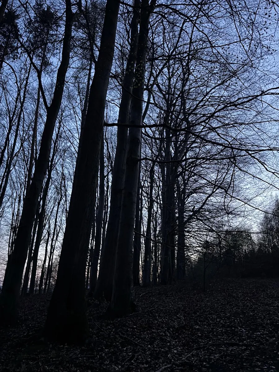 Fotka 5 z 10
